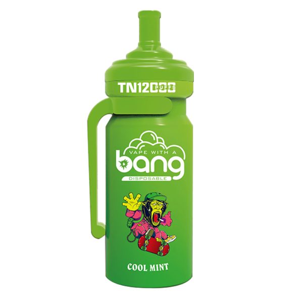 bang NT 12000-11 Vape Bang NT 12000 puff 12K E-cigareta-10PCS/1 škatla