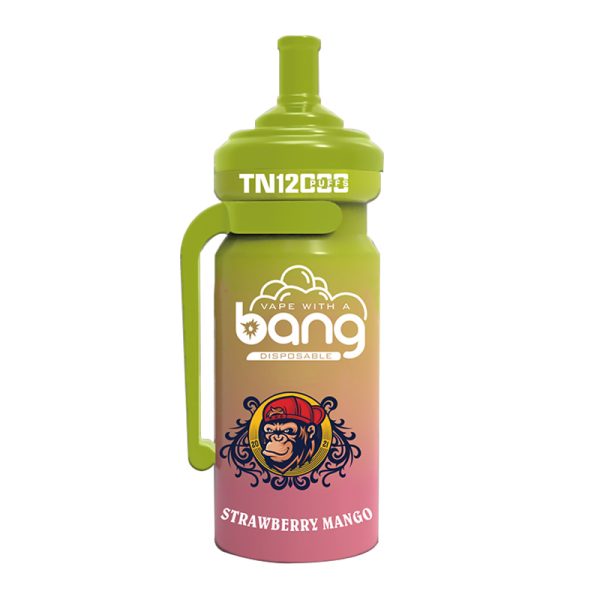 bang NT 12000-4 Vape Bang NT 12000 puff 12K E-cigareta-10PCS/1 škatla