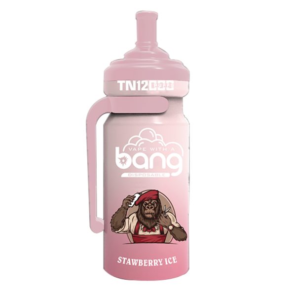 bang NT 12000-9 Vape Bang NT 12000 puff 12K E-cigareta-10PCS/1 škatla