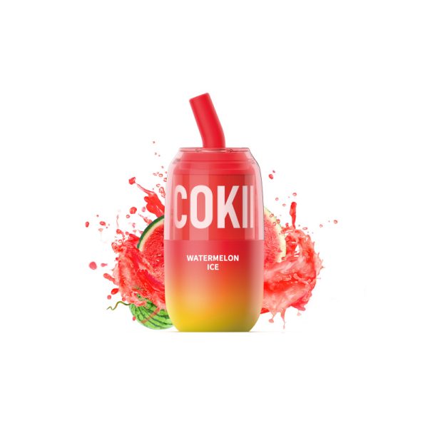 cisterna cokii cokii vape tank 12000 Puff E-cigareta-10PCS/1 škatla
